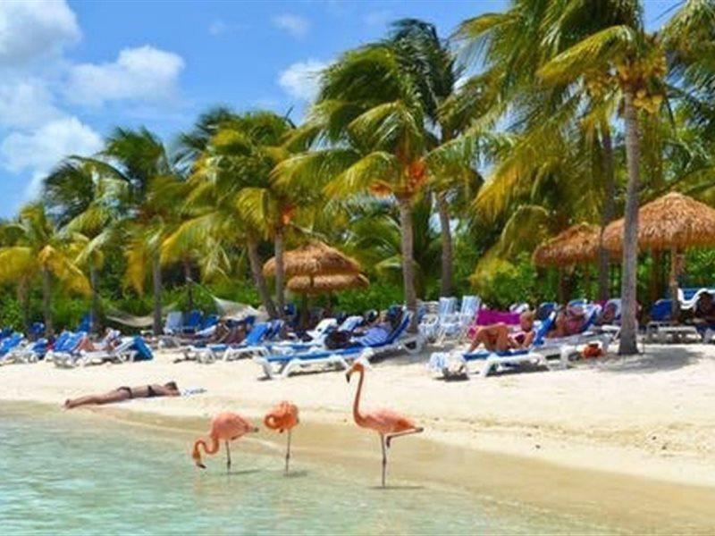 Aruba Blue Village Hotel And Apartments Палм Бийч Екстериор снимка