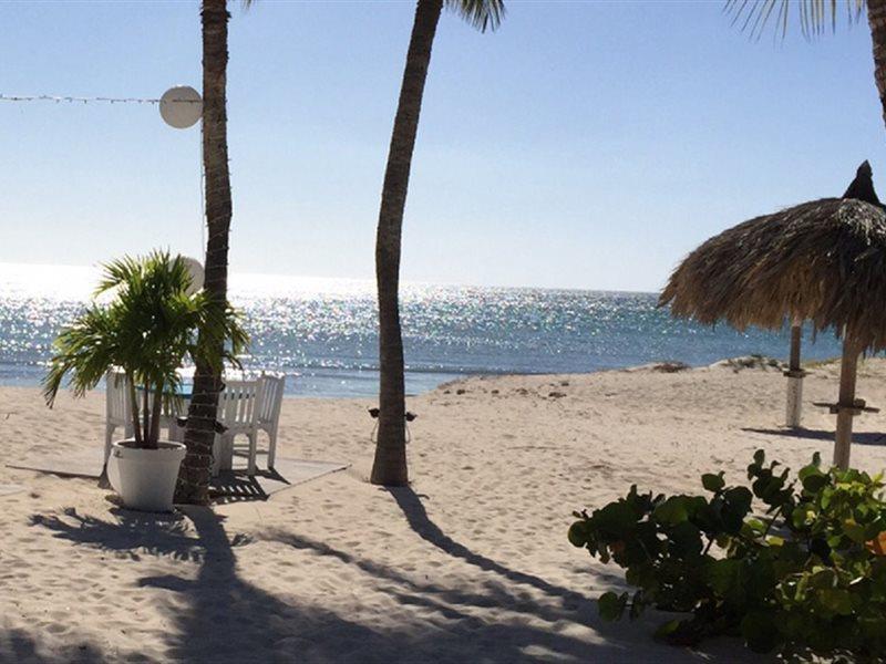 Aruba Blue Village Hotel And Apartments Палм Бийч Екстериор снимка