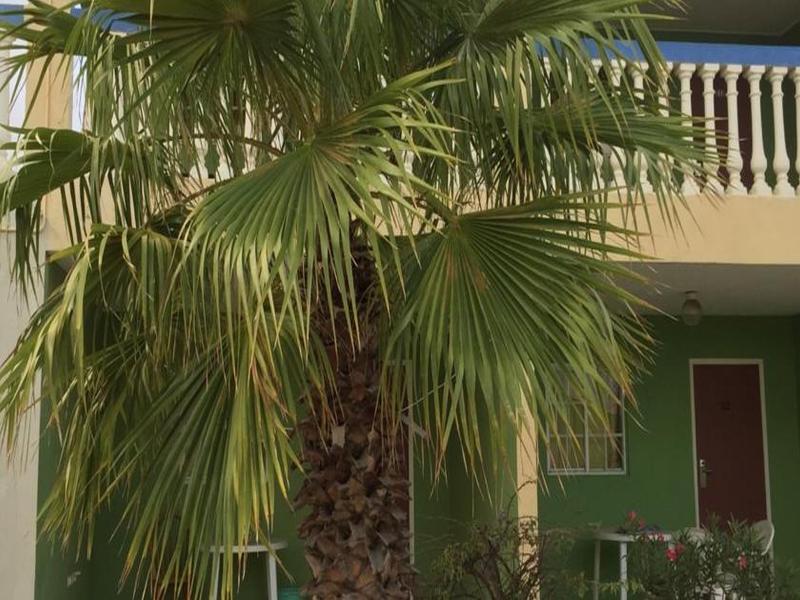 Aruba Blue Village Hotel And Apartments Палм Бийч Екстериор снимка